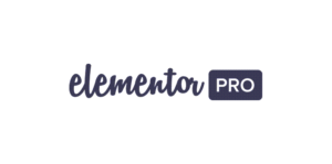 elementor-pro-1-300x149-1.png
