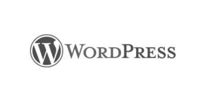 wordpress-1-300x149-1.png